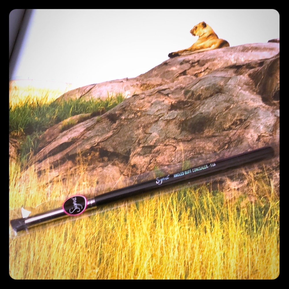 Sigma Angled Buff Concealer Brush▪️F66